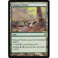 Tranquil Thicket - Archenemy Thumb Nail
